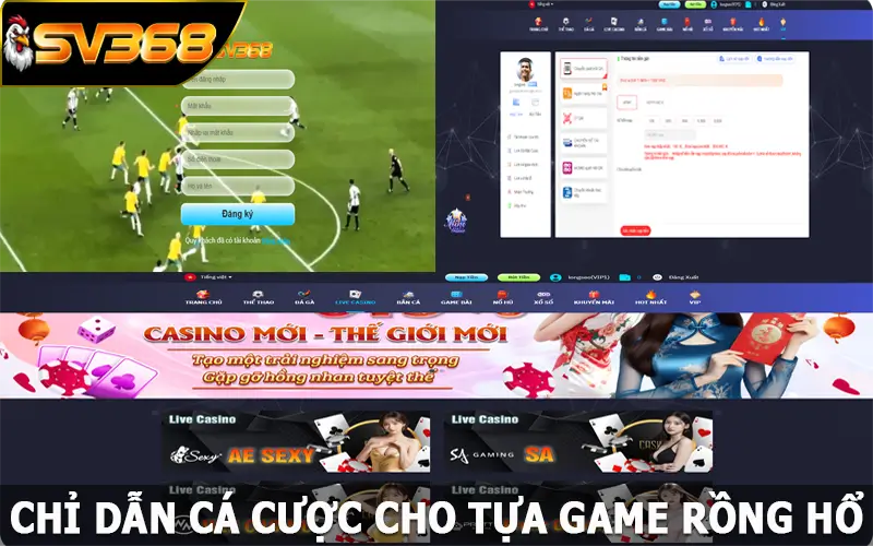 Chỉ dẫn cá cược cho tựa game rồng hổ tại SV368