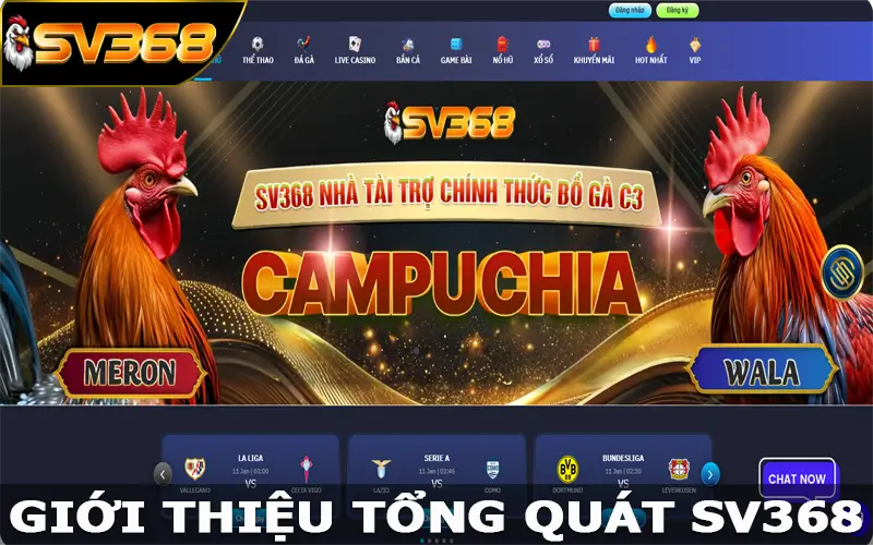 Giới thiệu tổng quát SV368