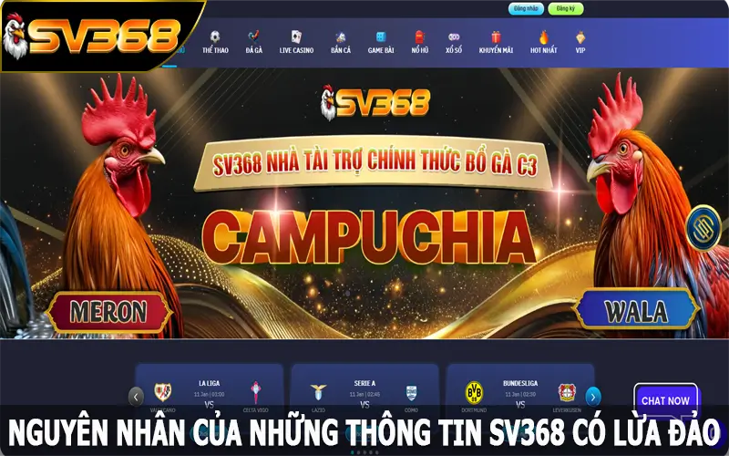 Nguyên nhân của những thông tin SV368 có lừa đảo