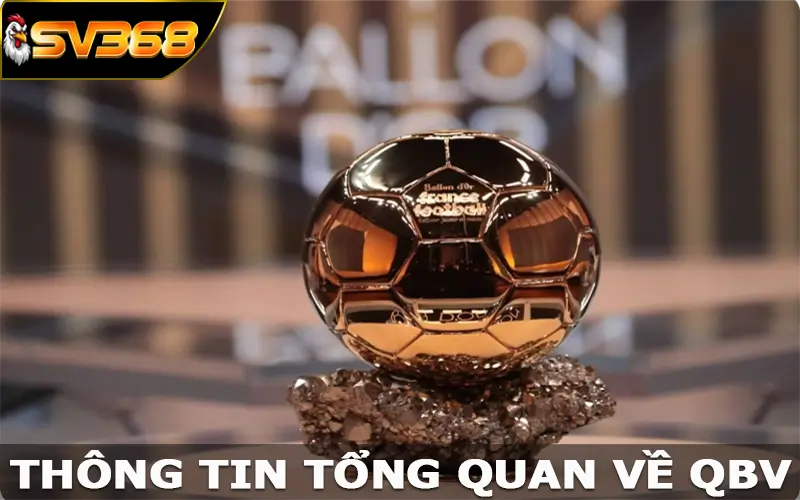 Thông tin tổng quan về QBV