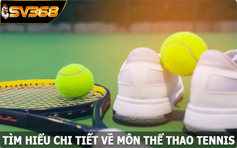 Tìm hiểu chi tiết về môn thể thao tennis cực đơn giản cùng SV368