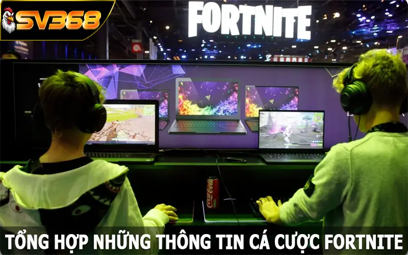 Tổng hợp những thông tin cá cược Fortnite tại SV368