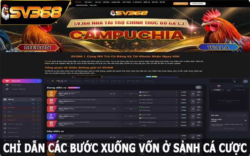 Chỉ dẫn các bước xuống vốn ở sảnh cá cược chỉ có ở SV368