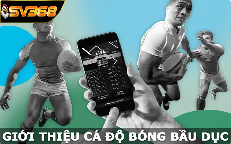 Giới thiệu cá độ bóng bầu dục ở SV368 là gì? Giới thiệu cá độ bóng bầu dục ở SV368 là gì?