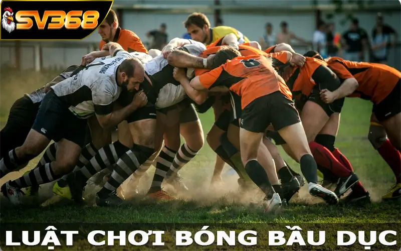 Luật chơi bóng bầu dục chỉ có chuẩn tại sân chơi uy tín mang tên SV368